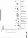 Fig. 32 - Anti-Tau antibodies and methods of use
