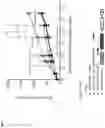 Fig. 20 - Bispecific signaling agents and uses thereof