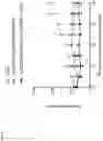 Fig. 47 - Bispecific signaling agents and uses thereof