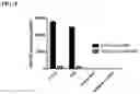 Fig. 07 - Binding Molecules Specific For ASCT2 And Uses Thereof