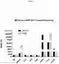Fig. 02 - NKp46 binding agents