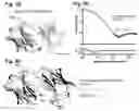 Fig. 08 - Galectin-10 antibodies