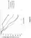 Fig. 03 - Methods for treating skin infection by administering an IL-4R antagonist