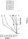 Fig. 06 - Methods for treating skin infection by administering an IL-4R antagonist