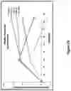 Fig. 30 - Methods for treating skin infection by administering an IL-4R antagonist