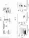 Fig. 02 - METHODS OF TREATING NEURODEGENERATIVE DISEASES BY INDUCING DISEASE-ASSOCIATED MICROGLIA (DAM) CELLS