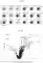 Fig. 06 - METHODS OF TREATING NEURODEGENERATIVE DISEASES BY INDUCING DISEASE-ASSOCIATED MICROGLIA (DAM) CELLS