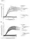 Fig. 08 - TRAILshort antibody and methods of use
