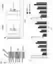 Fig. 09 - TRAILshort antibody and methods of use