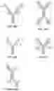 Fig. 07 - Binding molecules against BCMA and uses thereof
