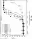 Fig. 47 - Binding molecules against BCMA and uses thereof