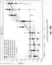 Fig. 48 - Binding molecules against BCMA and uses thereof