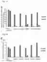 Fig. 07 - Anti-GPC3 antibody