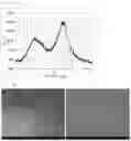 Fig. 07 - Sulfate ester modified cellulose nanofibers and method for producing cellulose nanofibers