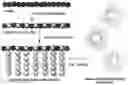 Fig. 01 - MODIFIED ALGINATE COPOLYMER, ALGINATE NANOPARTICLE AND APPLICATIONS THEREOF