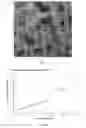 Fig. 08 - MODIFIED ALGINATE COPOLYMER, ALGINATE NANOPARTICLE AND APPLICATIONS THEREOF