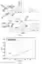 Fig. 18 - MODIFIED ALGINATE COPOLYMER, ALGINATE NANOPARTICLE AND APPLICATIONS THEREOF