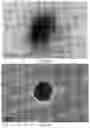 Fig. 26 - MODIFIED ALGINATE COPOLYMER, ALGINATE NANOPARTICLE AND APPLICATIONS THEREOF
