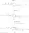 Fig. 33 - Initiators for living carbocationic polymerization