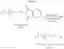 Fig. 35 - Initiators for living carbocationic polymerization