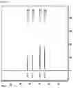 Fig. 02 - Polymerizable composition