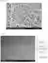 Fig. 04 - Composition, Composite Membrane, and Membrane Electrode Assembly
