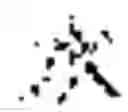 Fig. 02 - Copolymer of diallylamines and sulfur dioxide, and method for producing same