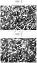 Fig. 03 - Fiber-reinforced resin composition and method of producing the same