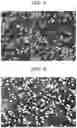 Fig. 04 - Fiber-reinforced resin composition and method of producing the same