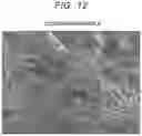 Fig. 08 - Fiber-reinforced resin composition and method of producing the same
