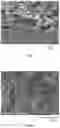Fig. 02 - Method for producing porous material of water-soluble polymer