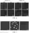 Fig. 06 - Zwitterionic nanoparticles