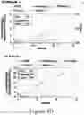 Fig. 09 - Engineered microorganisms for the production of intermediates and final products