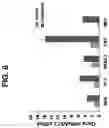 Fig. 08 - METHODS OF GENERATING OLIGODENDROCYTES AND CELL POPULATIONS COMPRISING SAME