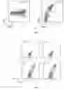 Fig. 02 - Method for inducing amplification of type I NKT cells in vitro