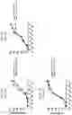 Fig. 08 - METHODS OF TRANSDUCING AND EXPANDING IMMUNE CELLS AND USES THEREOF