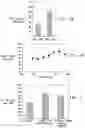 Fig. 07 - REGULATING STEM CELLS