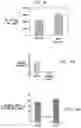 Fig. 08 - REGULATING STEM CELLS