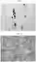 Fig. 10 - REGULATING STEM CELLS