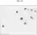 Fig. 12 - REGULATING STEM CELLS