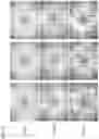 Fig. 09 - METHOD FOR PRODUCING VACCINIA VIRUS EXPRESSING FOREIGN GENE