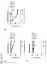 Fig. 28 - METHOD FOR PRODUCING VACCINIA VIRUS EXPRESSING FOREIGN GENE