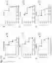 Fig. 33 - METHOD FOR PRODUCING VACCINIA VIRUS EXPRESSING FOREIGN GENE