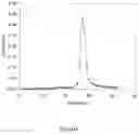 Fig. 08 - METHODS AND COMPOSITIONS FOR PRODUCING ACTIVE VITAMIN K-DEPENDENT PROTEINS