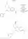 Fig. 24 - Enzymatic reaction medium containing surfactant