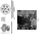 Fig. 03 - Bioresponsive particles
