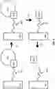 Fig. 06 - Oligonucleotide probes and uses thereof