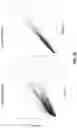Fig. 09 - Oligonucleotide probes and uses thereof