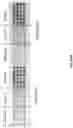 Fig. 83 - Oligonucleotide probes and uses thereof