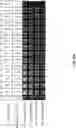 Fig. 85 - Oligonucleotide probes and uses thereof